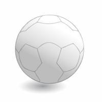 14 Panel Soccer Ball