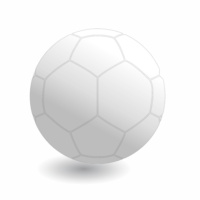 32 Panel Soccer Ball